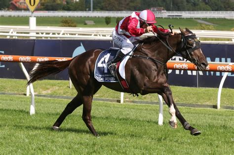 Northerly Stakes (formerly the Kingston Town Classic) .